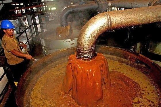 Cross River Oil Palm Smallholder Mill